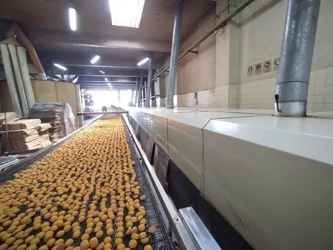 Fondo Comercio en Venta 46 años
