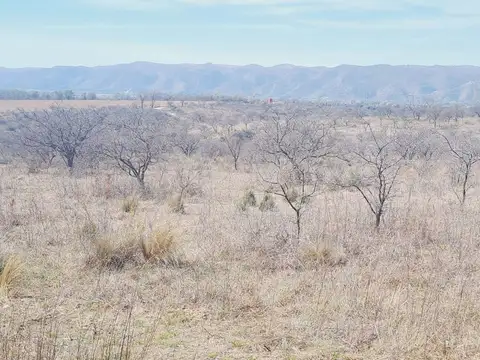 VENTA LOTE VILLA GRAL BELGRANO TIERRAS DEL SAUCE