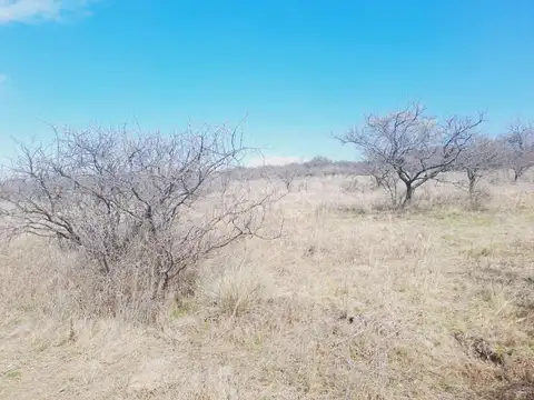 VENTA LOTE VILLA GRAL BELGRANO TIERRAS DEL SAUCE