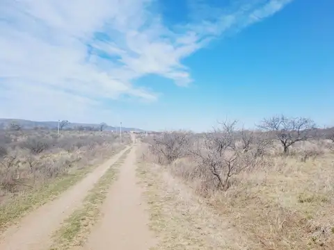 Terreno en Venta de 3000,0 m2