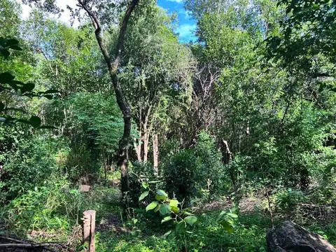 3 LOTES EN VENTA - RIO CEBALLOS - La Lucinda