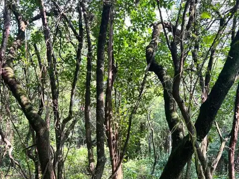 Terreno en Venta de 11120,0 m2