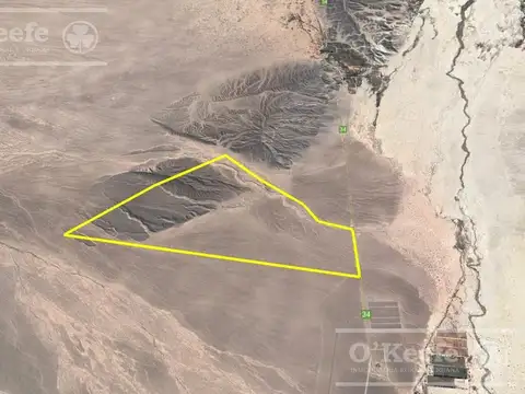 Campo 732  has en Venta Fiambala, Catamarca