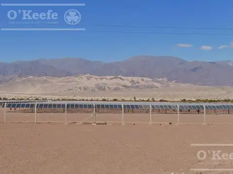 Campo 732  has en Venta Fiambala, Catamarca