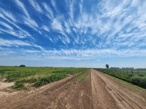 Calle SN Fighiera Santa Fe