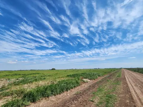 Campo 18 ha Figuera Santa Fe
