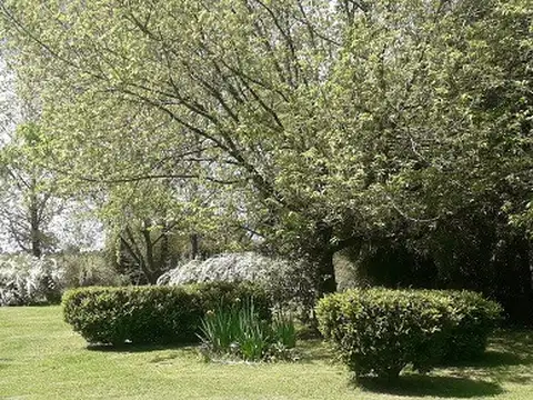 Quinta 1 hectárea Barrio El Candil