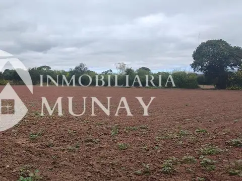 OPORTUNIDAD EN CORONEL MOLDES