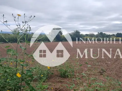 Vende Terreno En Coronel Moldes