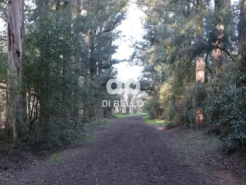 Chacra en Estancia Benquerencia
