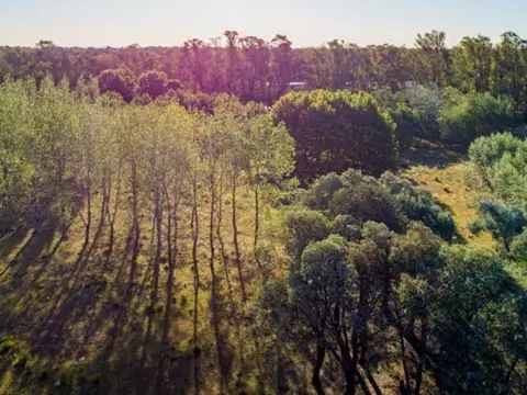 Terreno en Venta de 1188,0 m2