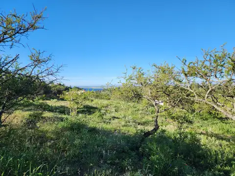 Terreno en Venta 50  mts Frente