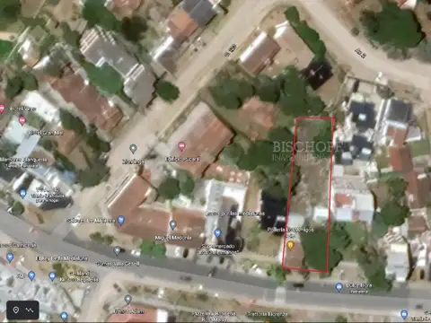 AVENIDA 3 ENTRE PASEOS 123 Y 124