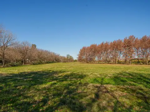 Terreno en Loma Escondida