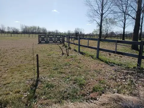 Terreno en Venta 36  mts Frente