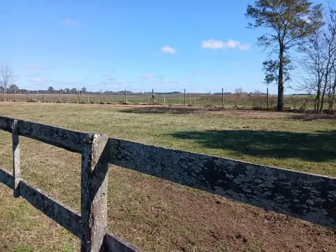 Terreno en Venta de 5009,0 m2