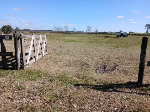 Terreno en Venta 76  mts Fondo