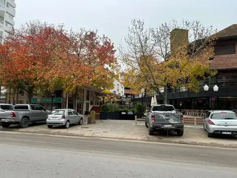 Av. del Libertador 100