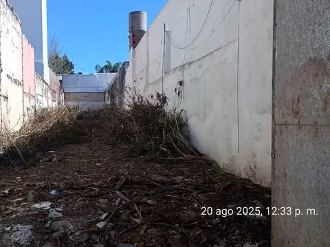 Silvestre Remonda 200