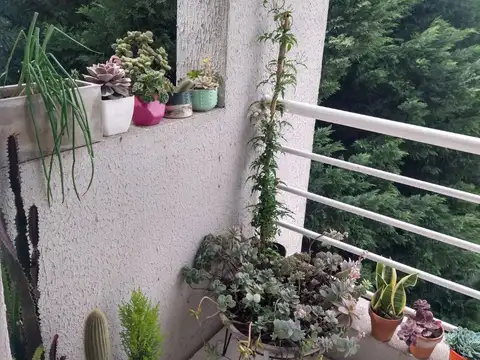 COMPLEJO PINAR WILDE 100