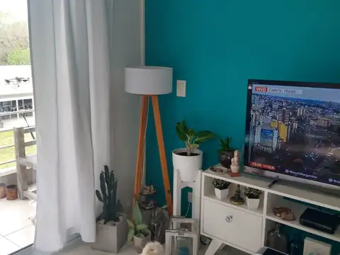 COMPLEJO PINAR WILDE 100