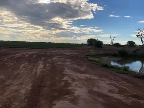 Campo - Taboada