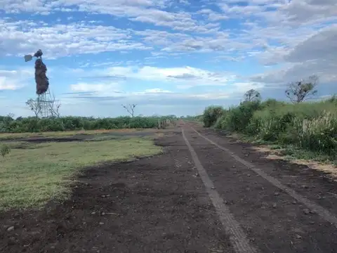 Campo - Taboada