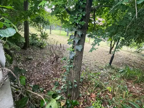 Terreno en Venta en Martinez Libertador / Rio, USD 467.000