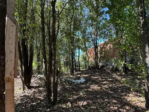 Terreno en Venta de 300,0 m2