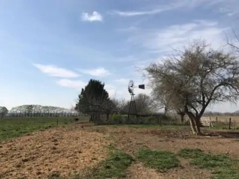 Campo en Venta de 175  ha