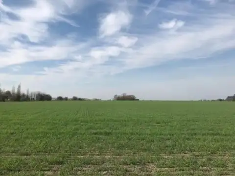 Campo en Venta de 175  ha