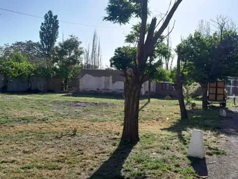 Venta Bodega