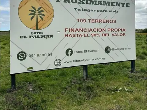 Camino Scomani