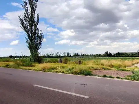 VENTA DE FINCA 5,2ha PERDRIEL, LUJAN DE CUYO