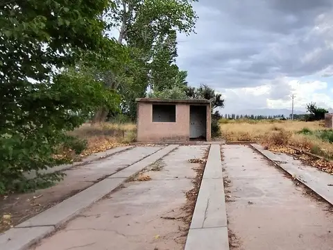 VENTA DE FINCA 5,2ha PERDRIEL, LUJAN DE CUYO
