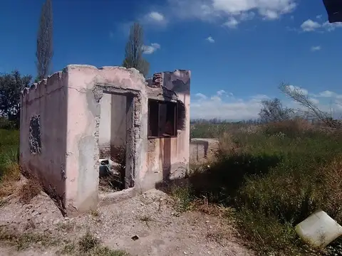 VENTA DE FINCA 5,2ha PERDRIEL, LUJAN DE CUYO