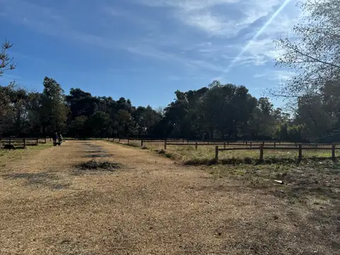 La Cooperacion s/nro