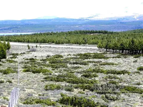 EXCELENTE TERRENO DE 4 HAS EN VILLA PEHUENIA IDEAL COMERCIAL  - DESARROLLO, SE ACEPTA PERMUTA POR Depto o casa  categoria en la costa (Pinamar- Carilo o similar)