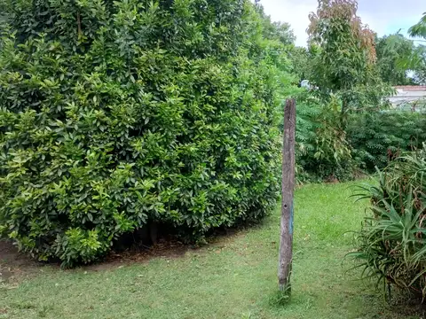 Terreno en Venta 29  mts Fondo