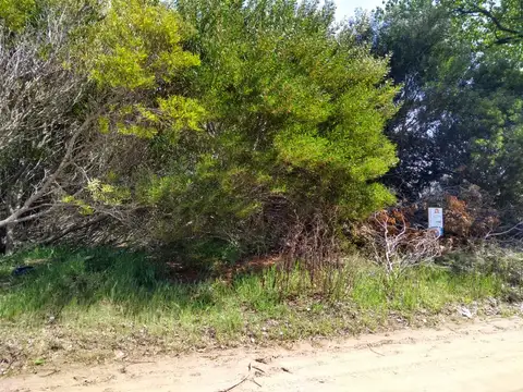 viña del mar entre 33 y 34