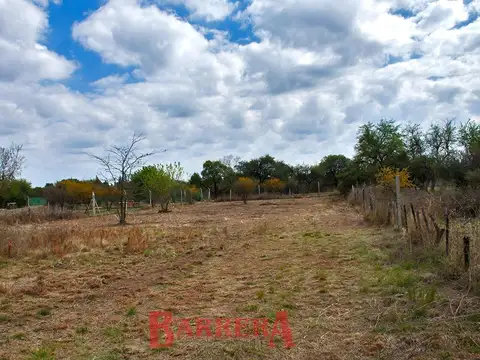Terreno en Venta 98  mts Fondo