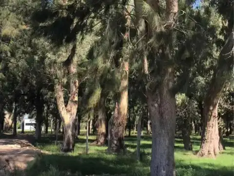 Campo en venta - 12.222Mts2 - Villa Elvira, La Plata