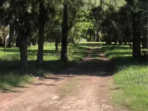 Ruta 11 y 611