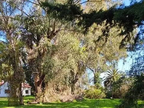 Terreno en Venta de 1092,0 m2