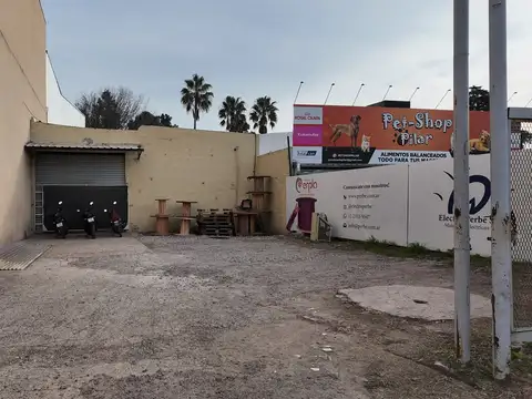 Juan Mateo Gelves 900