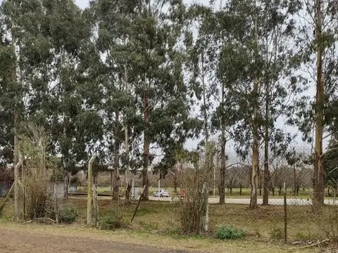 EXCELENTE CAMPO /CHACRA DE 12HA.