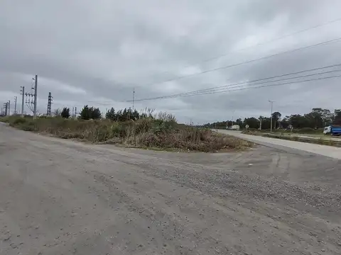 Ruta Provincial 6 195