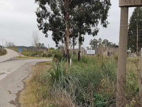 EXCELENTE CAMPO /CHACRA DE 12HA.