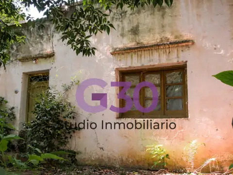 Excelente Terreno sobre Av. Mitre con casa a reciclar.