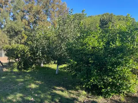 Quinta en Venta 40 años